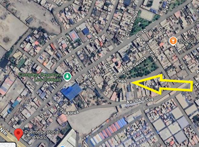 place photo 14