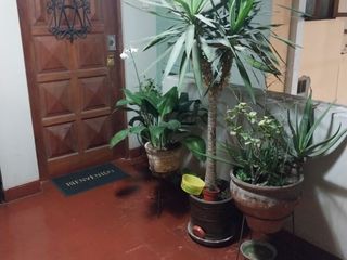 Foto 2 de VENTA DE DEPARTAMENTO EN PANDO CERCADO DE LIMA