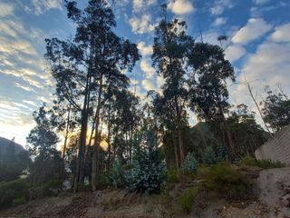 Foto 5 de SE VENDE TERRENO URB LA MARCA SAN ANTONIO DE PICHINCHA