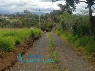 Foto 4 de VENTA DE LOTE - PARCELACION RIO BLANCO POPAYAN