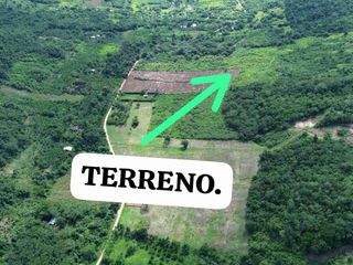 Foto 2 de Vendo 13 hectáreas de terreno Morales San Martin Tarapoto