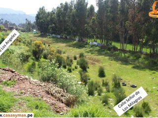 Foto 11 de ¿ BUSCAS UN TERRENO PARA TU PROYECTO COMERCIAL EN HUANCAYO ?