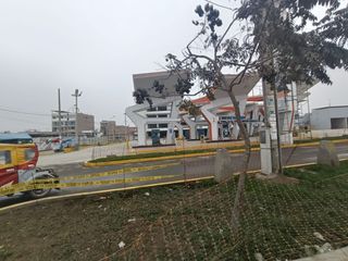 Foto 7 de Local para almacén  comercial alquiler