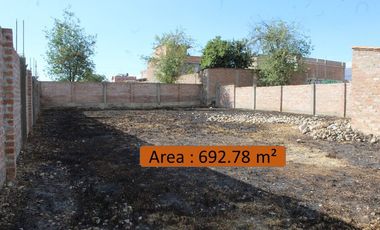 place photo 11