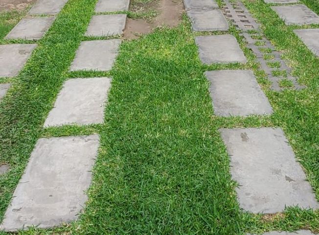 place photo 30