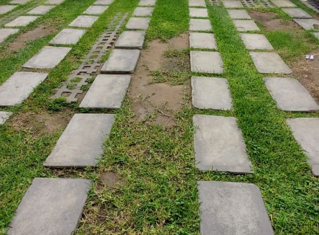 place photo 31