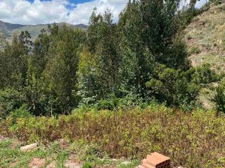 Foto 2 de TERRENO EN VENTA TIPON