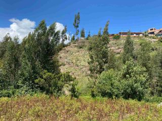 Foto 3 de TERRENO EN VENTA TIPON