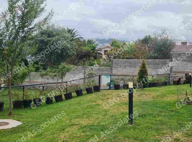 Apartamento en venta en Llano Chico - Ansicht 5