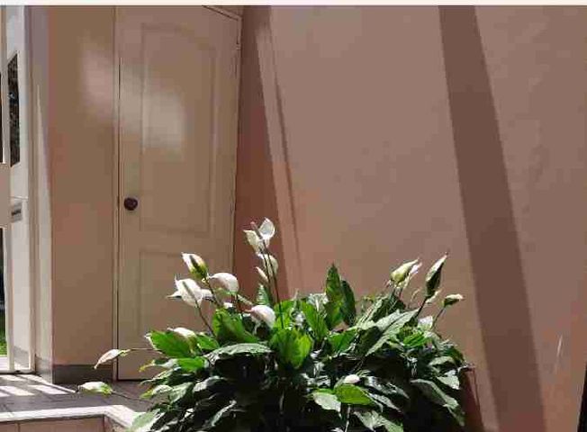 Imagen 4 de Apartamento