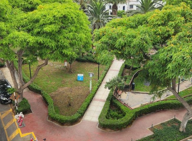 Imagen 4 de Apartamento