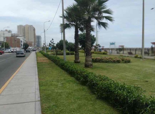 Imagen 2 de Apartamento