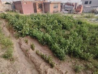Terreno en Venta en Cerro Colorado - Altro