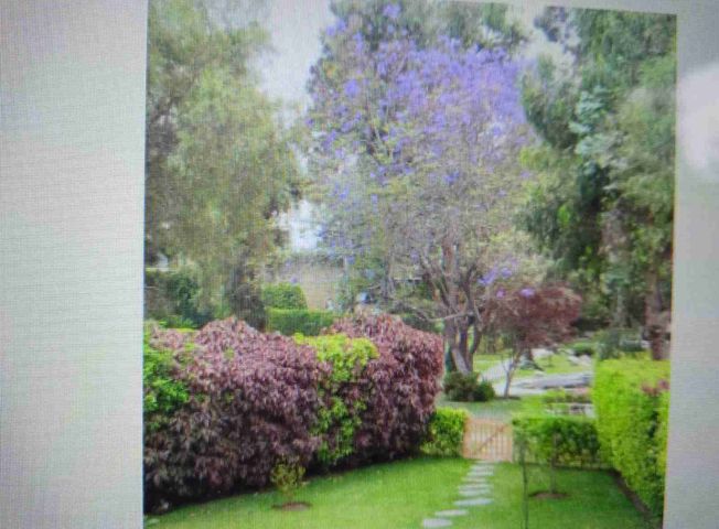 Terreno en Venta en Chaclacayo - Ansicht 5