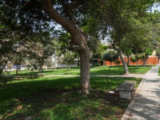 Terreno en Venta en Los Olivos - Vista 4