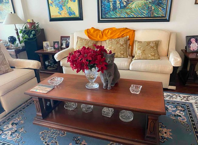 Apartamento en venta en Centro Norte - Widok 4