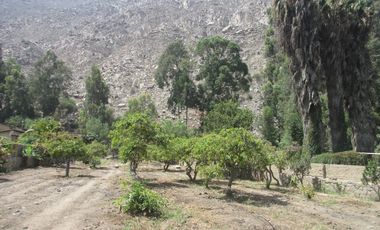Terreno en Venta en Lurigancho - Ansicht 3