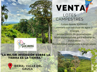 Foto 1 de VENDO Y/O PERMUTO LOTE CAMPESTRE