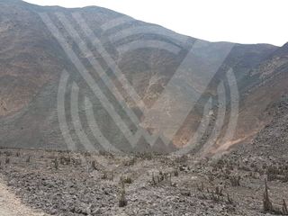 Foto 7 de SE VENDE TERRENO DE 200 HA PARA CANTERA A BUEN PRECIO