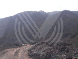 Foto 14 de SE VENDE TERRENO DE 200 HA PARA CANTERA A BUEN PRECIO