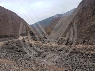 Foto 5 de SE VENDE TERRENO DE 200 HA PARA CANTERA A BUEN PRECIO