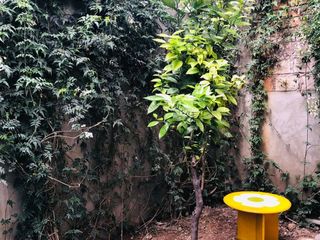 Foto 15 de CASA AMOBLADA EN ALQUILER BIEN UBICADA EN CAJAMARCA
