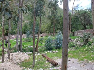 Terreno en Valle de Urubamba (13,118 m2)