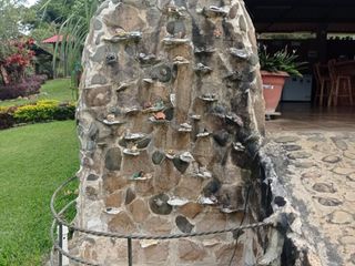 Foto 19 de Venta hermosa finca Colinas de Tocotá, Dagua Valle del Cauca