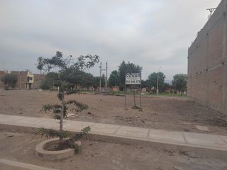 Foto 2 de (M)VENDO 2 LOTES DE TERRENO EN CARABAYLLO EXCELENTE UBICACION