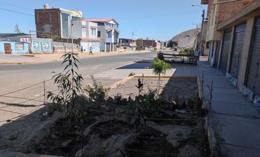 place photo 34