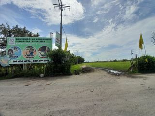 Foto 2 de Excelente lote de 1000M2, ubicado en Ricaurte, Cundinamarca.