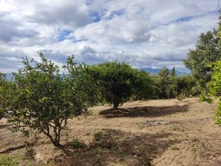 Terreno en Venta Guayllabamba cerca al zoológico