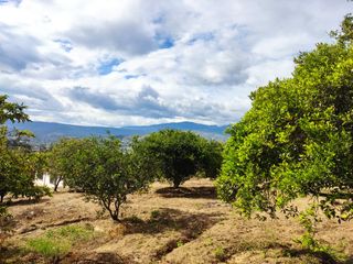 Terreno en Venta Guayllabamba cerca al zoológico