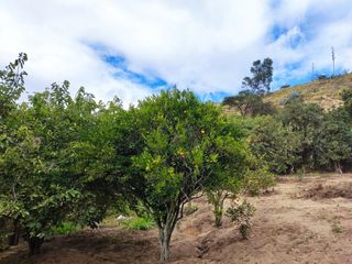 Terreno en Venta Guayllabamba cerca al zoológico