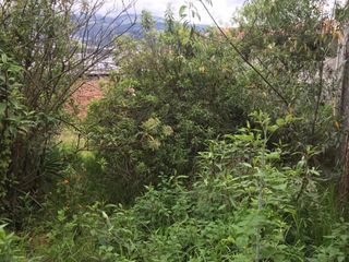 Foto 4 de VENTA TERRENO SECTOR PONCEANO BAJO