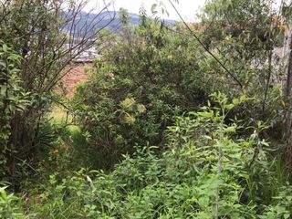 Foto 6 de VENTA TERRENO SECTOR PONCEANO BAJO
