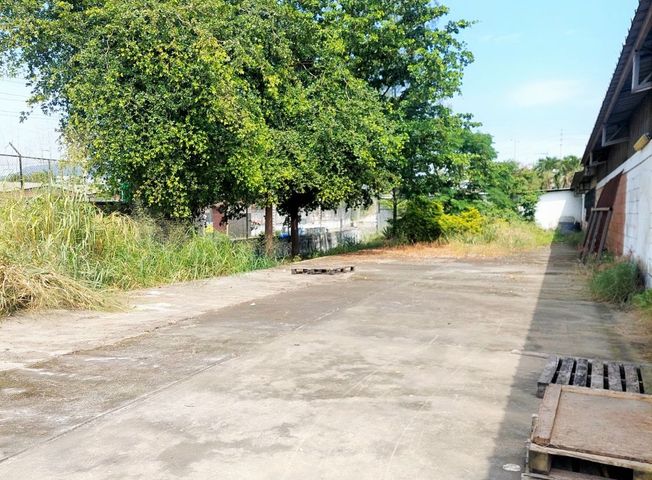 place photo 24