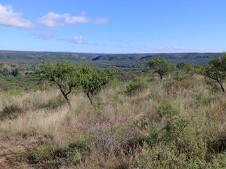 Foto 3 de Lote de 1000m2 en San Lorenzo, Traslasierra de Córdoba. USD 8.000