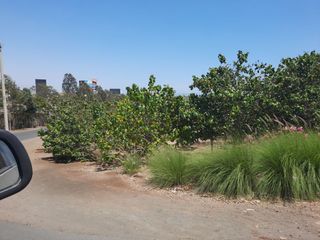 Foto 4 de Vendo Terreno Playa Condominio El Golf