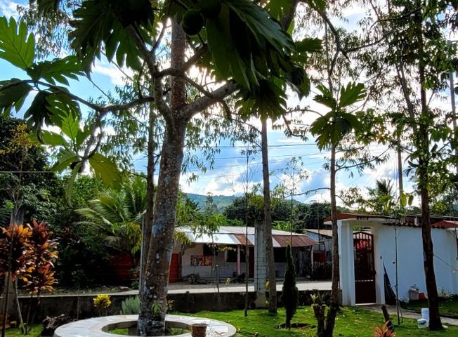 place photo 33