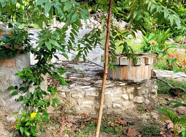 place photo 30