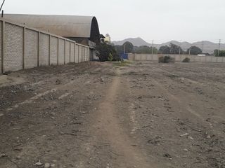 Foto 5 de TERRENO EN AV. MANUEL VALLE EN LURIN