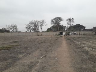 Foto 7 de TERRENO EN AV. MANUEL VALLE EN LURIN