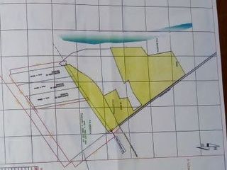 Foto 6 de Terreno de 56 hectareas al norte de Chancay (LIM1713)