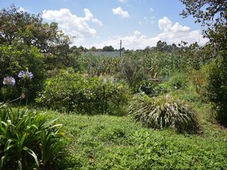 finca en venta Rionegro Antioquia  vereda la Galicia