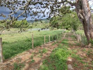 Lotes Restrepo - Valle del Cauca