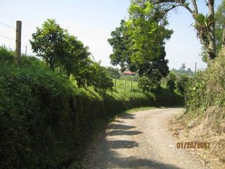 Vendo Lote Terreno Rural en la Graminea, Pereira