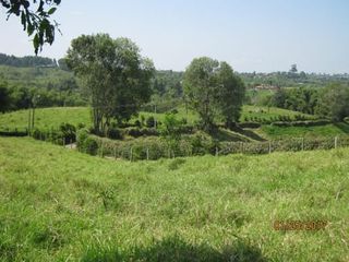 Vendo Lote Terreno Rural en la Graminea, Pereira