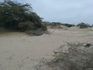 Foto 1 de Se Vende Terreno en Pozo Santo - ICA