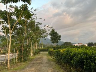 Foto 2 de vendo quinta con casa grande y canchas en recinto Santa Lucia via las Mercedes